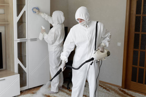 24/7 Emergency Odor Removal experts in Mason, OH